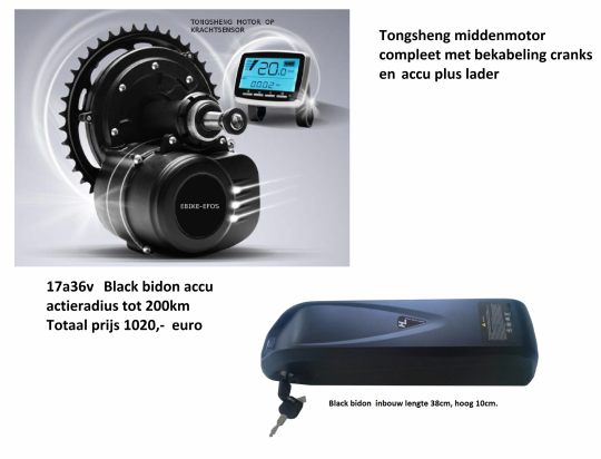 tongsheng + 17a bb.png